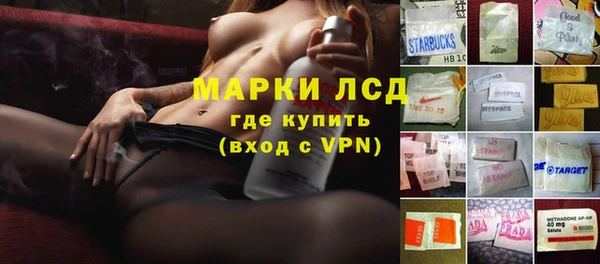 стафф Алзамай