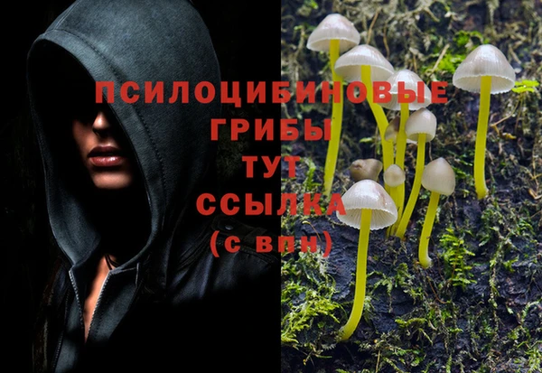 стафф Алексин