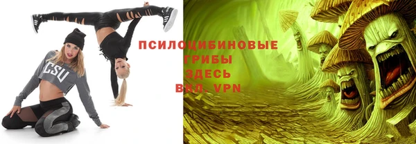 стафф Алексин